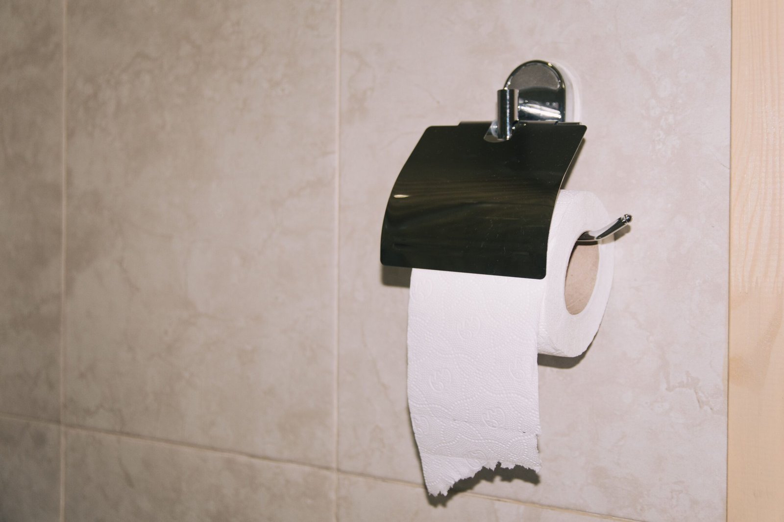 Stainless steel toilet paper holder with a roll in a tiled bathroom.