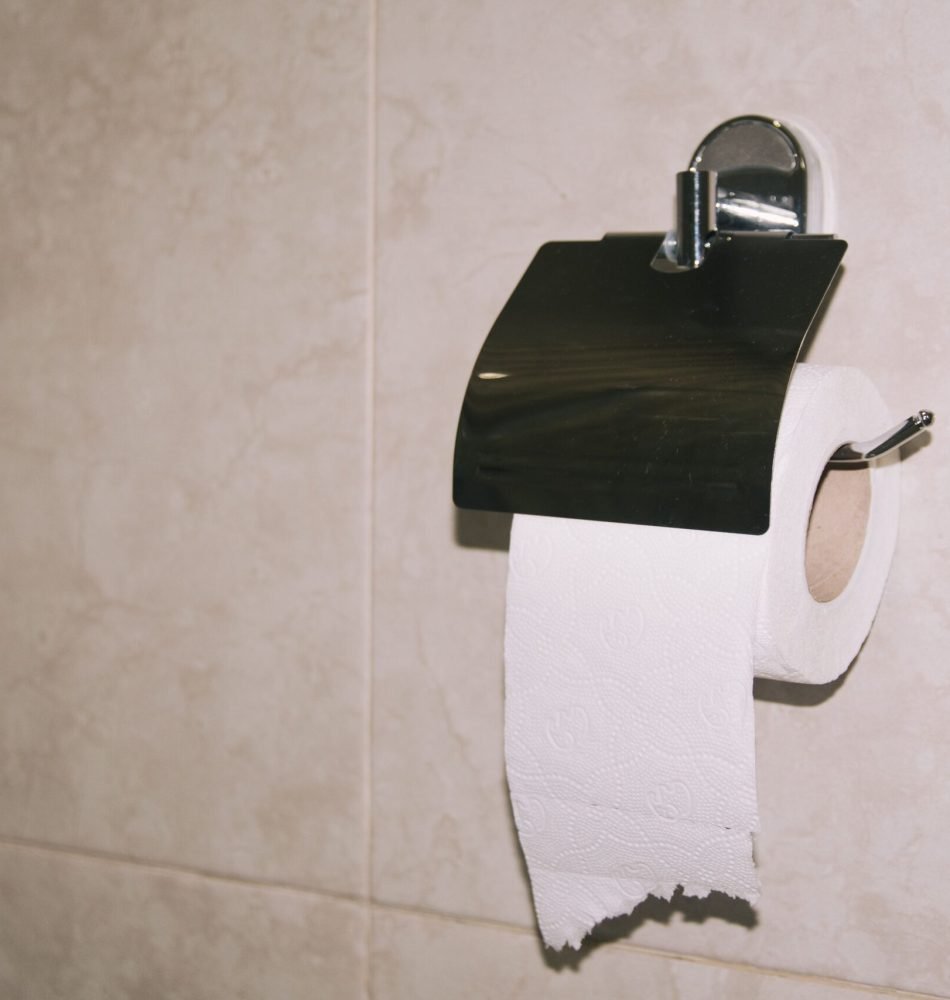 Stainless steel toilet paper holder with a roll in a tiled bathroom.
